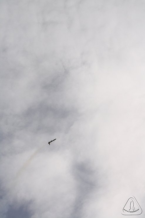 2013 Svojek Mirek Topinka